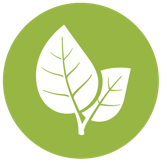 N-Trail Logo
